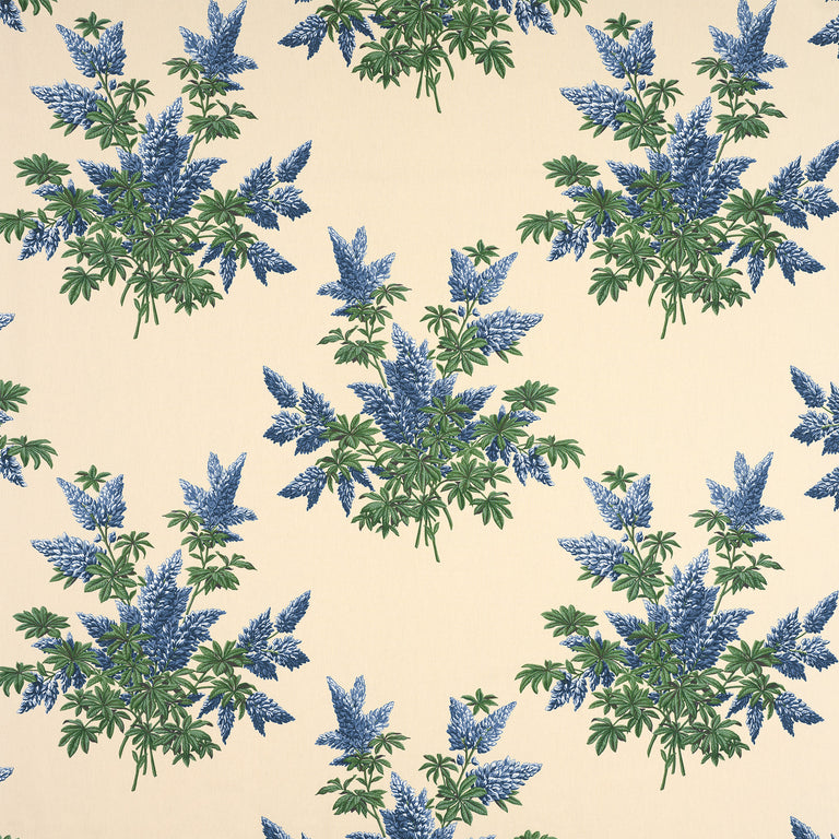 Lupins