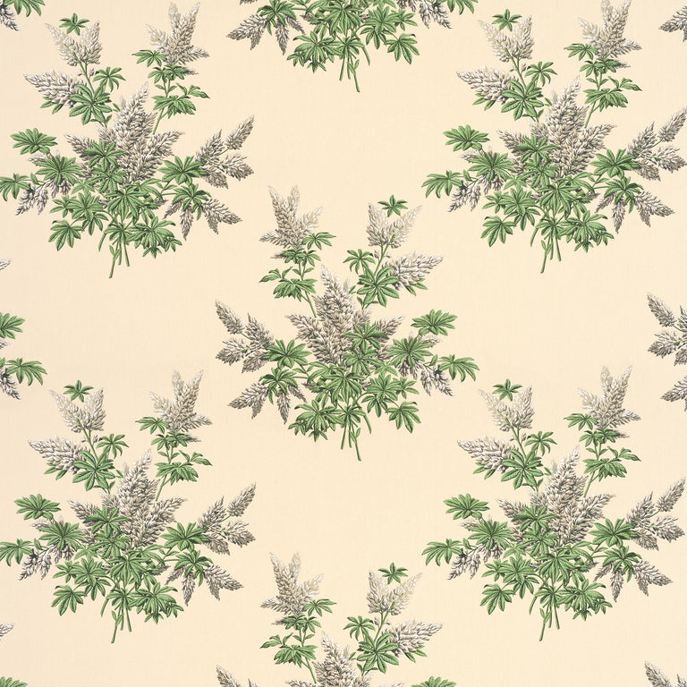 Lupins