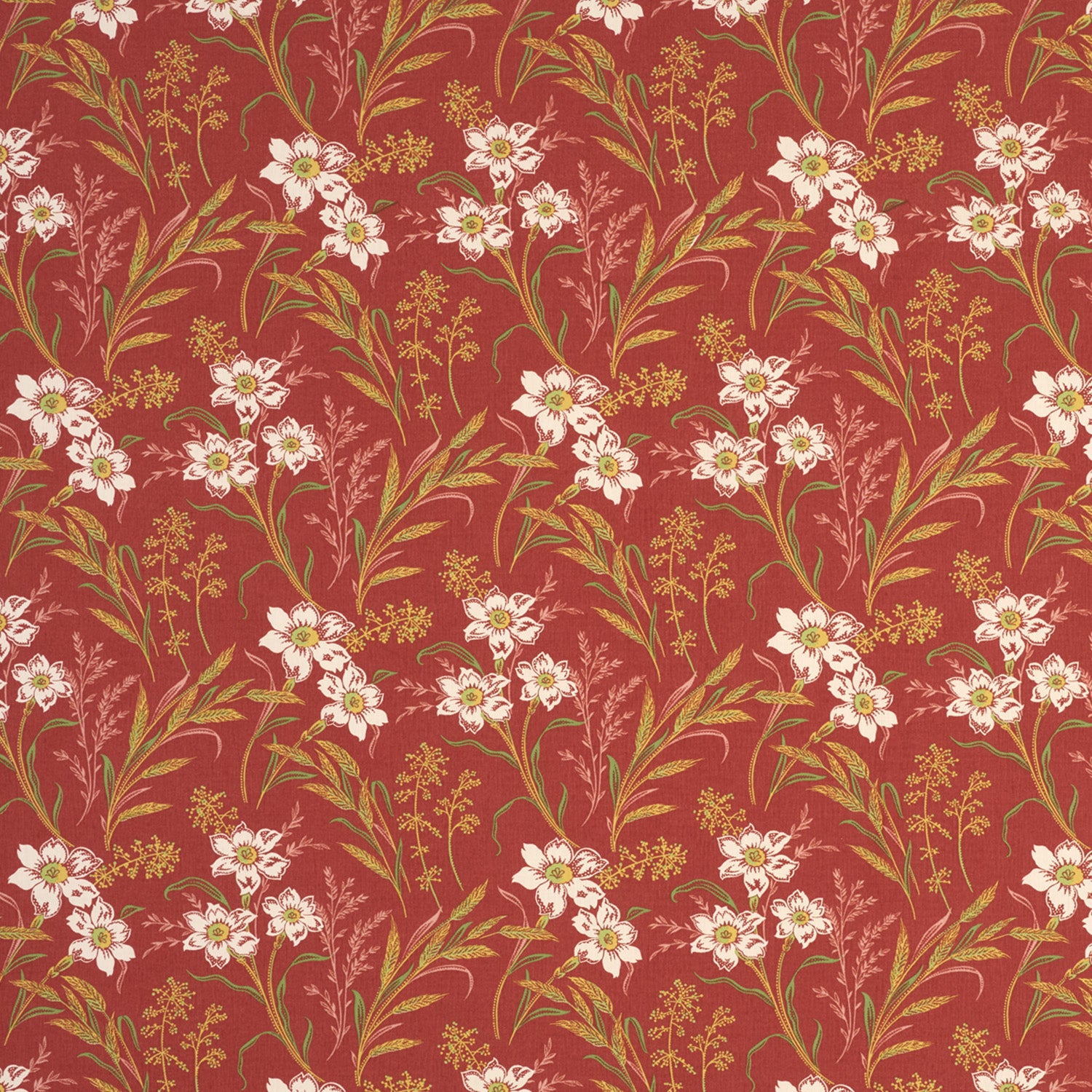 Decors Barbares - Vera in Terracotta