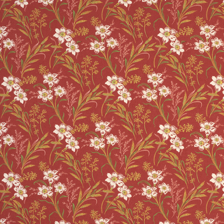 Decors Barbares - Vera in Terracotta
